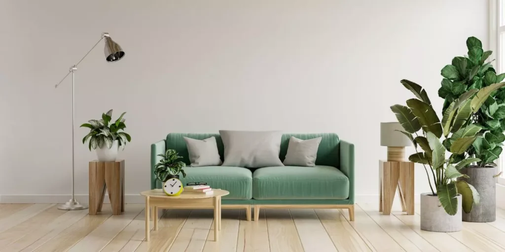 How to Create a Zen Space With Indoor Plants How to Create a Zen Space With Indoor Plants