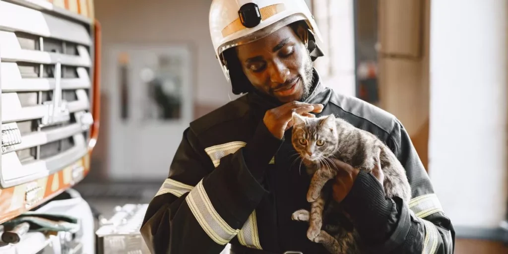 How Can Smart Pet Devices Help With Emergency Situations? How Can Smart Pet Devices Help With Emergency Situations?