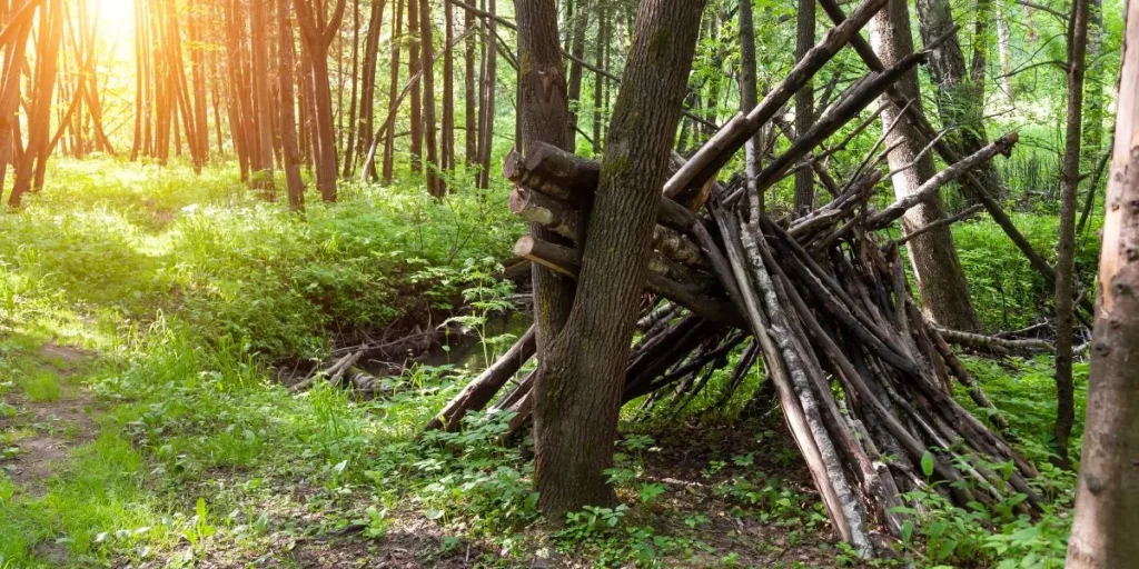 Understanding Wildlife Behavior for Safety Understanding Wildlife Behavior for Safety