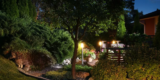 What Are the Best Ways to Illuminate Your Garden?